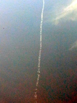 Fasching 2014 vorbei (1) - Kopie